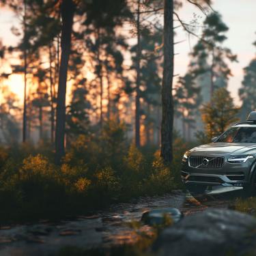 Auto mit Dachbox im Wald